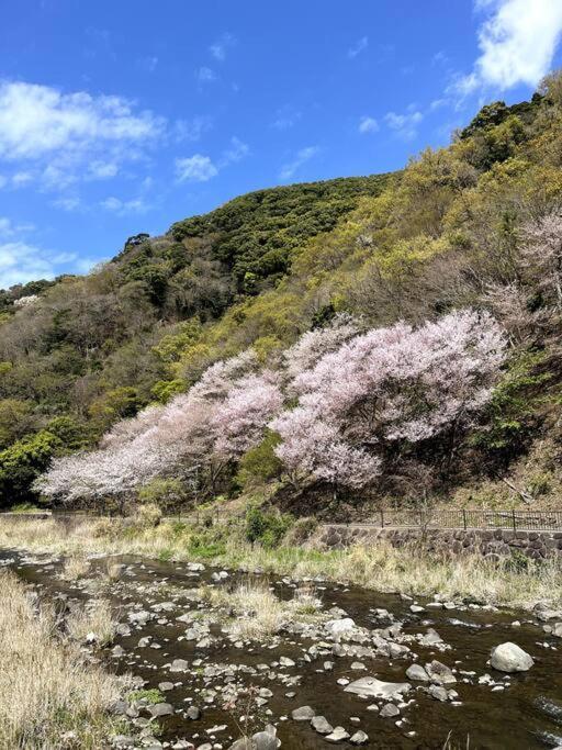 נומאזו 御浜岬の至福を一身に味わう 一軒家貸切宿で贅沢なバーベキューを楽しみながら夕陽に染まる戸田湾の美しさを満喫 מראה חיצוני תמונה